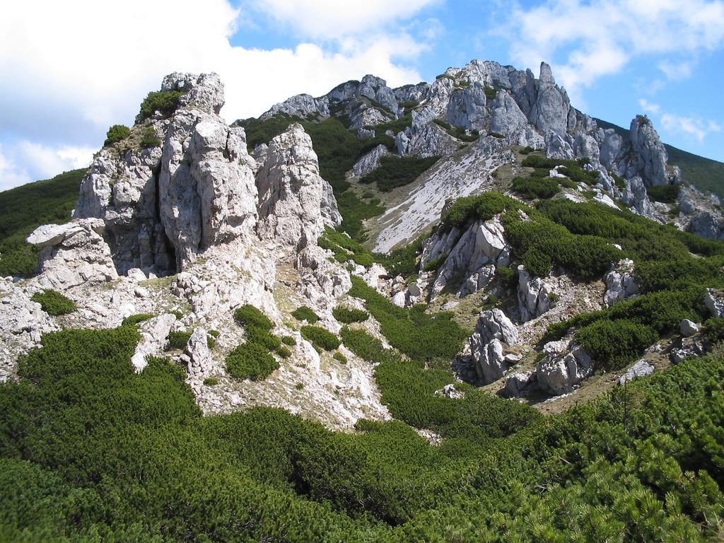 Apartmany Pri Studnicke Oravský Biely Potok エクステリア 写真